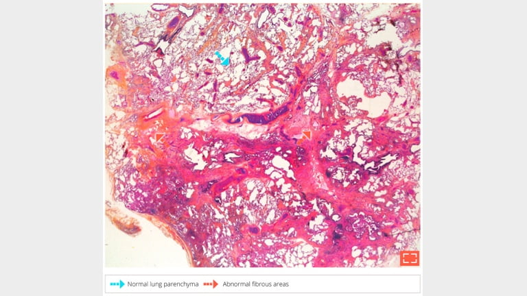 Characteristicpatworkpattern@2x