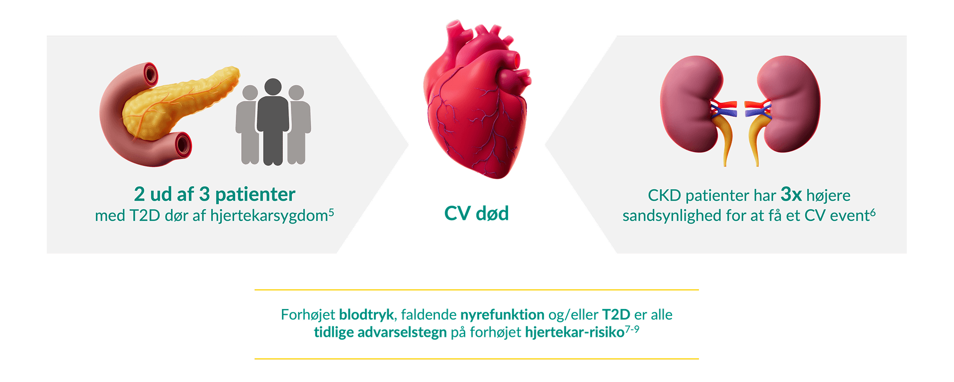 CKD, T2D og hjertekarsygdom er indbyrdes forbundne og progressive tilstande