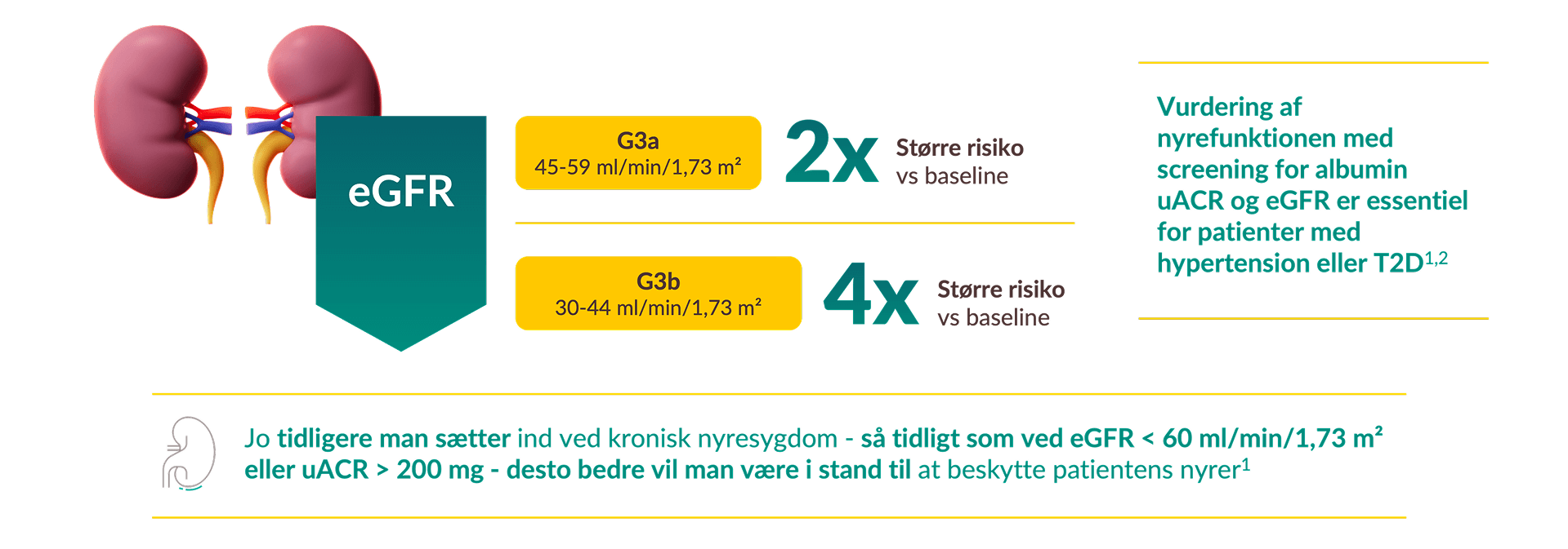 CKD er en progressiv sygdom