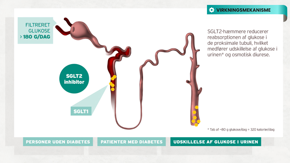 Synjardy virkningsmekanisme